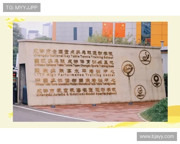乒乓球的魅力之旅：深入了解成都乒乓球队的技术与训练秘诀